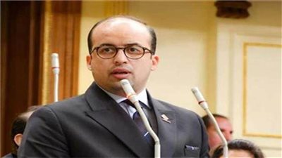 نائب التنسيقية: إحالة توصيات الحبس الاحتياطي للحكومة رد على جميع المشككين ومروجي الشائعات
