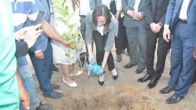 محافظ البحيرة.. استلام 1000 شجرة مثمرة مقدمة من النقابة العامة للمهندسين