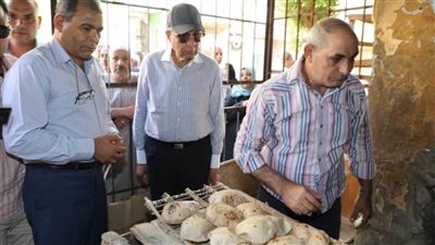 ضبط 254 مخالفة خلال حملات تفتيشية تموينية مكبرة على المخابز والأسواق بالمنيا 