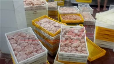 ضبط طن و700 كيلو لحوم دواجن غير صالحة بكفر الشيخ