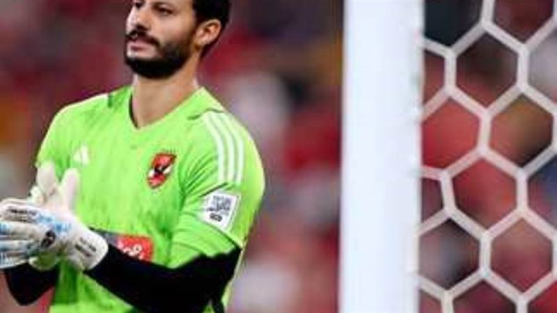 محمد الشناوي