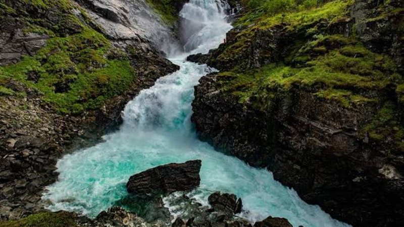 بوابة روز اليوسف