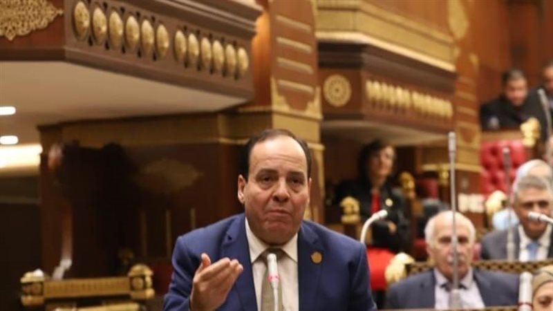 النائب أشرف أبو النصر