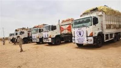 وصول قوافل مساعدات برنامج الغذاء العالمي إلى دارفور غربي السودان عبر معبر 