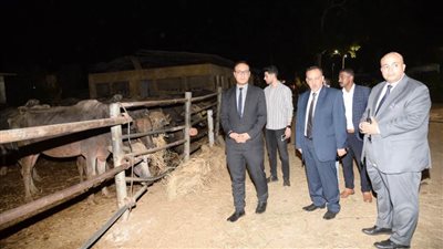 محافظ أسيوط يوجه بإنشاء صيدلية وعيادة بيطرية لخدمة مشروع الثروة الحيوانية ومربي الماشية