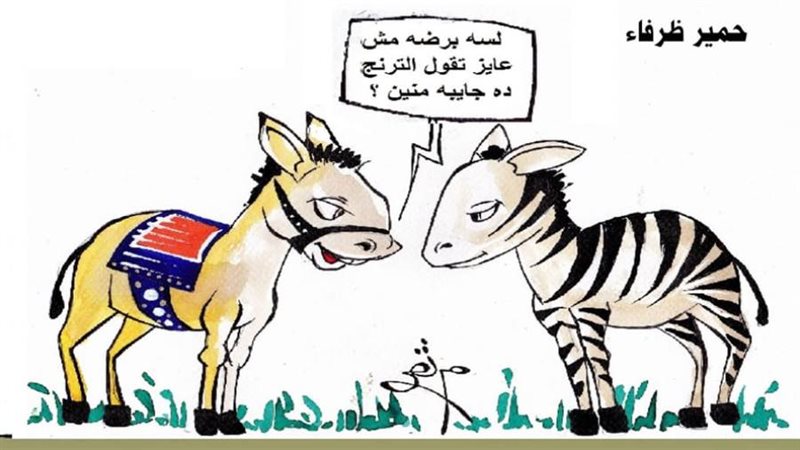 ريشة - ثروت مرتضى