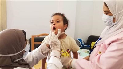 الكشف الطبي على 2834 مواطنا خلال قوافل طبية مجانية بقرى ملوي