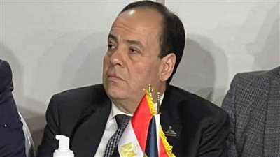 نائب برلمانية «حماة الوطن» يكشف روشتته لجذب 100 مليار دولار استثمارات للمحافظات