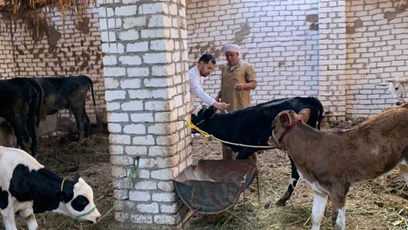 تحصين الثروة الحيوانية