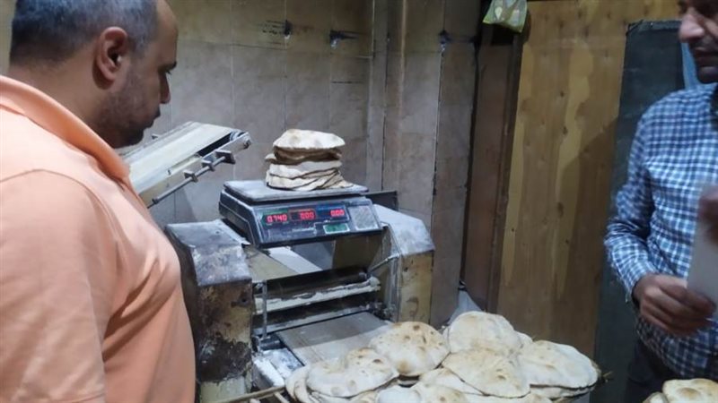 جانب من الحملة على