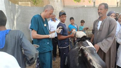 جامعة سوهاج تطلق قافلة بيطرية مجانية لقرية أولاد عزاز