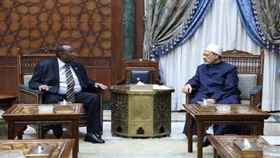 شيخ الأزهر يبحث مع السفير الصومالي بالقاهرة سبل تعزيز الدعم الدعوي والتعليمي