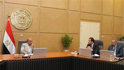 وزير الكهرباء ومدير مستقبل مصر للتنمية المستدامة يبحثان التغذية الكهربائية لمشروعات الاستصلاح الزراعي