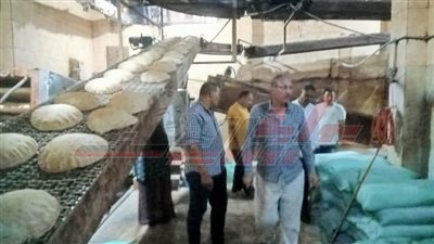 كفر الشيخ تحرر 14 محضر مخالفات تموينية بقلين