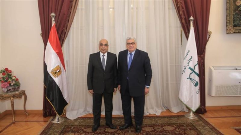 مجلس الدولة