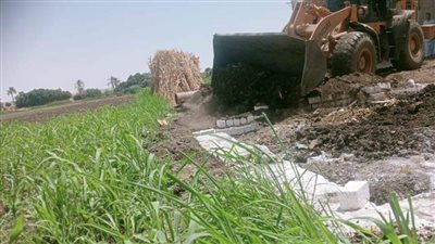  إزالة 88 حالة تعد علي الأرض الزراعية في 5 مراكز بالمنيا