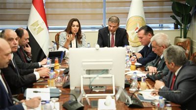 وزيرا التنمية المحلية والزراعة يعقدان اجتماعا مع المحافظين عبر الفيديو كونفرانس 