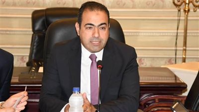 شباب المصريين بالخارج: مبادرة بداية خطوة مهمة من القيادة السياسية لتحقيق التنمية المستدامة