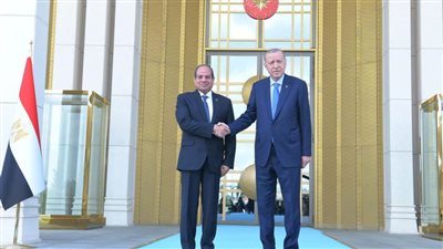 أردوغان: مصر وتركيا شكلتا التاريخ