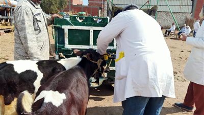  علاج 1690 طائرًا وماشية خلال قافلة بيطرية في الغربية