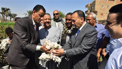 محافظ أسيوط يفتتح موسم جني القطن وسط فرحة المزارعين وغناء الأطفال للذهب الأبيض