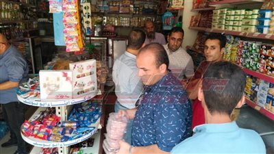 كفر الشيخ: تضبط 781 كجم أسماك غير صالحة بالمراكز والمدن