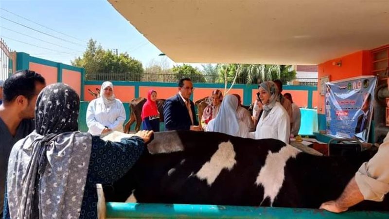 حملات بيطرية مكثفة