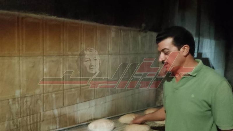 الحملات الرقابية