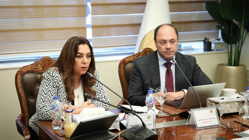 وزيرة التنمية المحلية