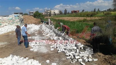 إزالة 3 حالات تعد على الأرض الزراعية بكفر الشيخ 