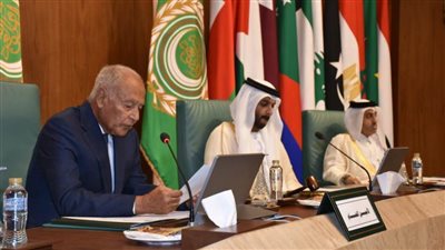 وزير الاقتصاد الإماراتي: مقترح مصر بإنشاء وكالة عربية للدواء ستعزز التعاون العربي في مجال تصنيع الأدوية