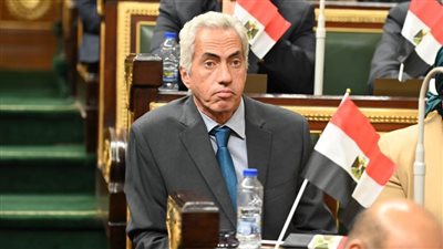 النائب عمرو السنباطي: الدولة المصرية تقوم بجهود كبيرة لحل أزمات الشرق الأوسط والقرن الأفريقي 