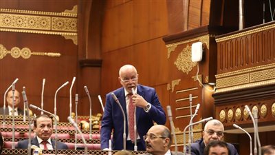 الجندي: الإفراج عن عدد من المحبوسين احتياطيا يأتي تفعيلًا للاستراتيجية الوطنية لحقوق الإنسان