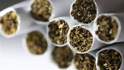  الصحة العالمية: الشباب يشاركون في التوعية بخدع شركات التبغ