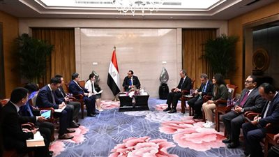 رئيس الوزراء يبحث مع رئيس شركة 