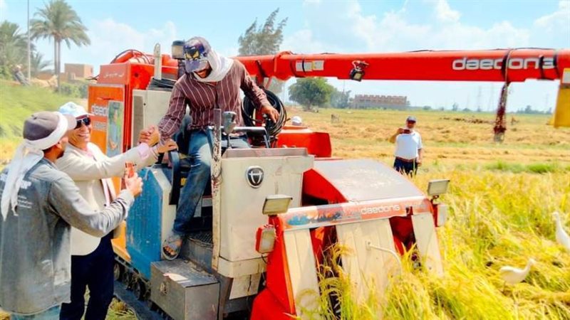 جانب من يوم حصاد