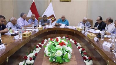 الوادى الجديد تعلن سحب الأراضي غير المستغلة بمبادرتي «النخيل» و«الحرير»