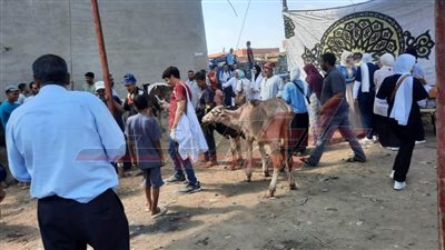 قافلة بيطرية مجانية ضمن المبادرة الرئاسية 