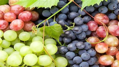 العنب بـ 20 جنيها.. تعرف على أسعار الفاكهة بسوق الجملة اليوم