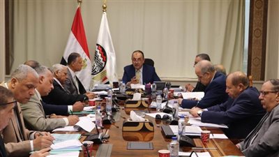 وزير قطاع الأعمال يتابع خطط العمل التنفيذية لشركات 