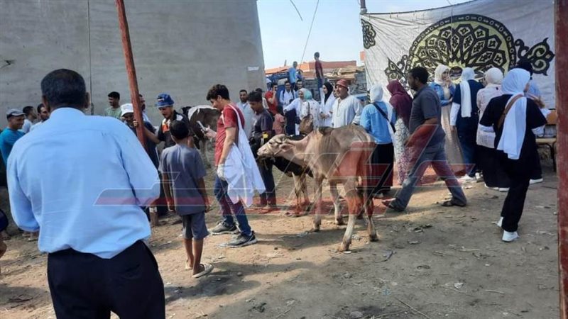 القافلة البيطرية