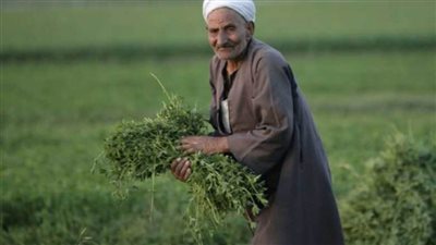 «الجيل» يهنئ الرئيس السيسي والشعب بعيد الفلاح المصري الـ72