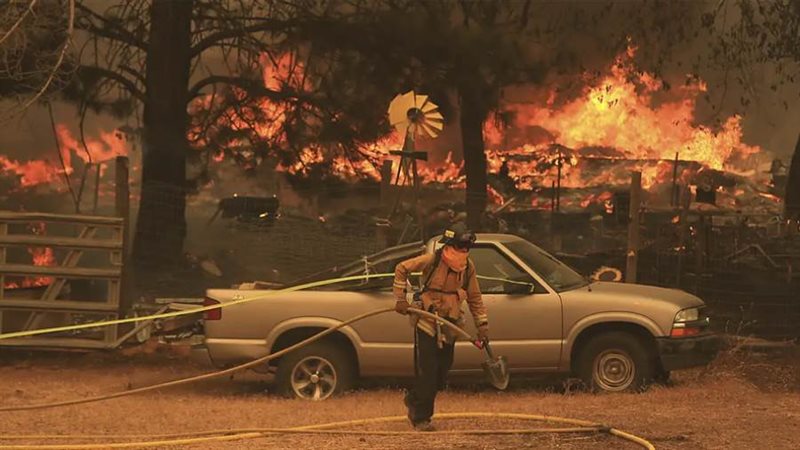 حرائق الغابات