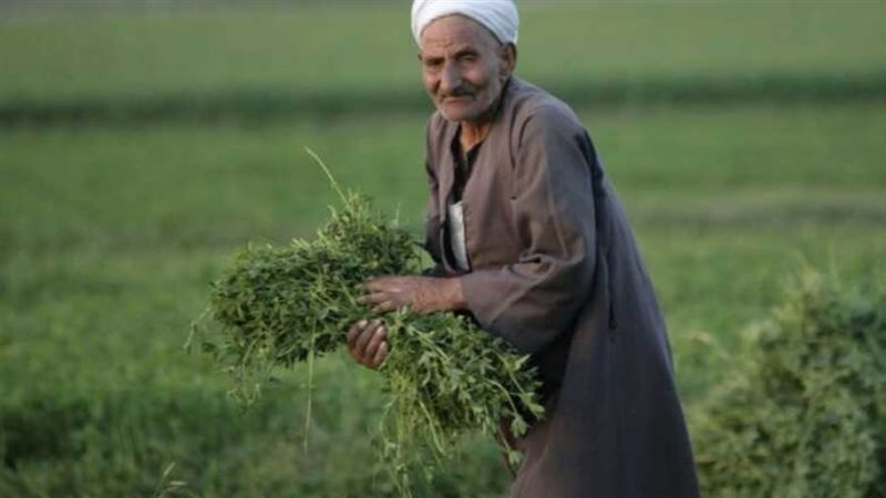 الفلاح المصري ـ أرشيفية