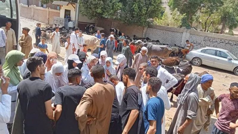 قوافل بيطرية مجانية