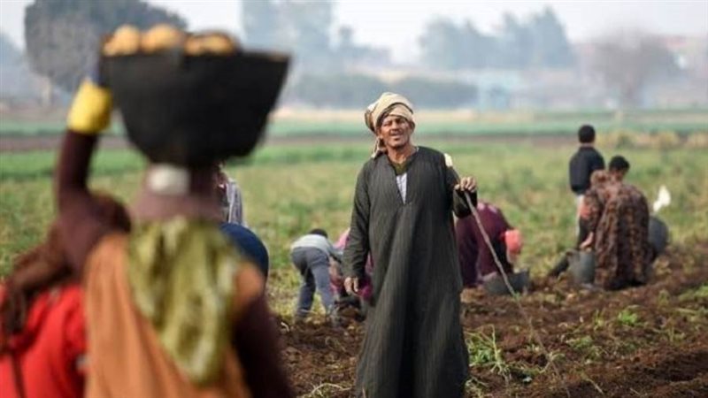 الفلاح المصري ـ أرشيفية