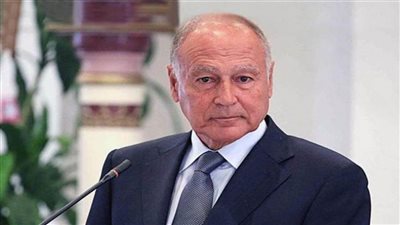 أبو الغيط يؤكد دعم الجامعة العربية لموقف مصر الرافض للتواجد الإسرائيلي على حدودها مع فلسطين