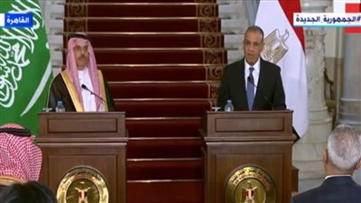 وزير الخارجية: مستوى متميز من التعاون بين مصر والسعودية