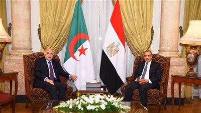 وزير الخارجية يؤكد على العلاقات والروابط العميقة بين مصر والجزائر