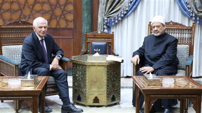 شيخ الأزهر يسأل الممثل الأعلى للاتحاد الأوروبي: هل هناك حل للمهزلة التاريخية الكبرى التي نراها في غزة؟!